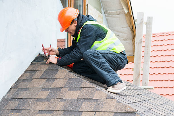 Roof Gutter Cleaning in Old Miakka, FL